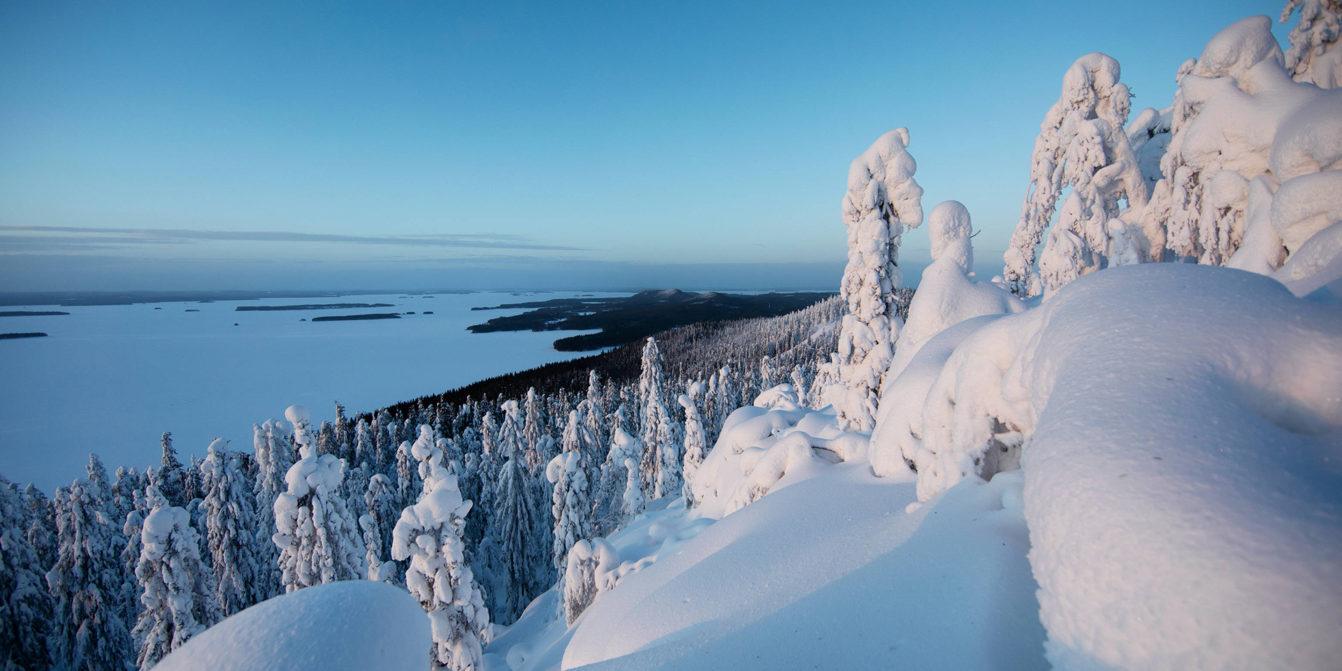 Hungary and You Kft.